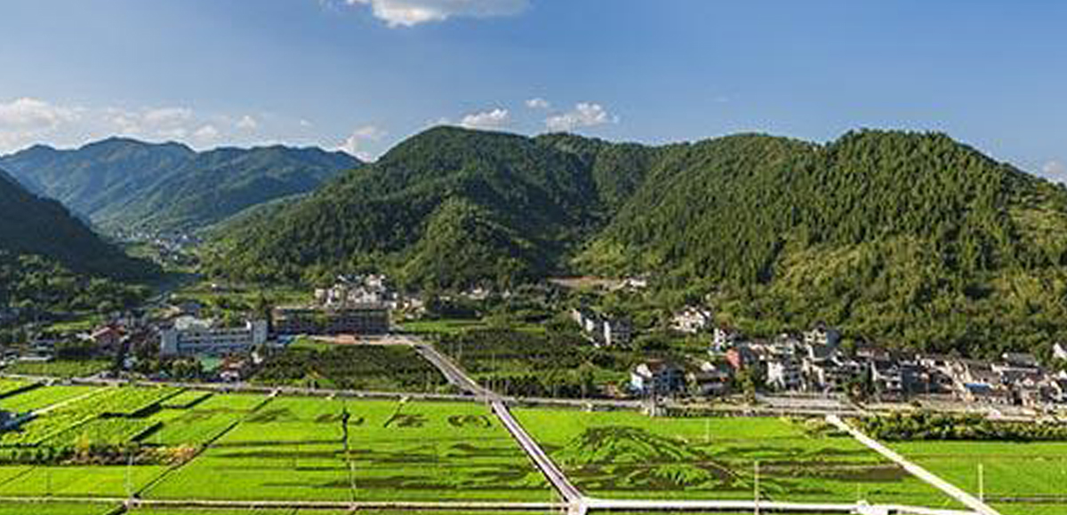 ũ������